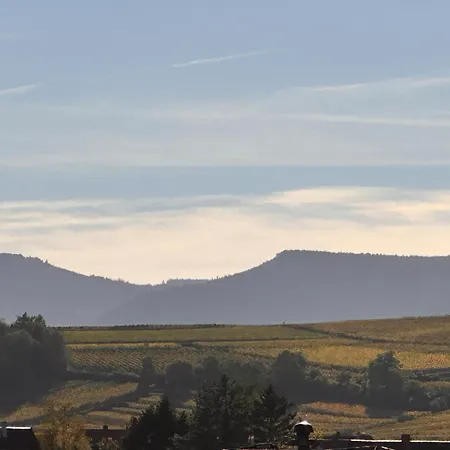 Διαμέρισμα Au Coeur Du Vignoble *