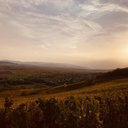 Διαμέρισμα Au Coeur Du Vignoble *