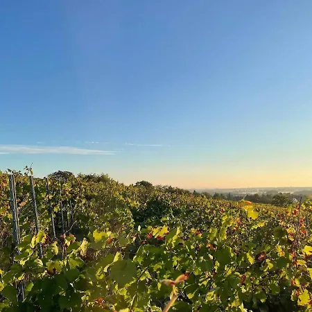 Au Coeur Du Vignoble *