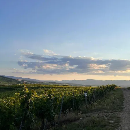 Διαμέρισμα Au Coeur Du Vignoble Dorlisheim